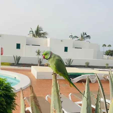 Doble Uve Lejlighedshotel *